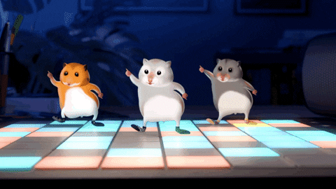 Hamster Dance Stomp Feet Colorful Dancefloor GIF