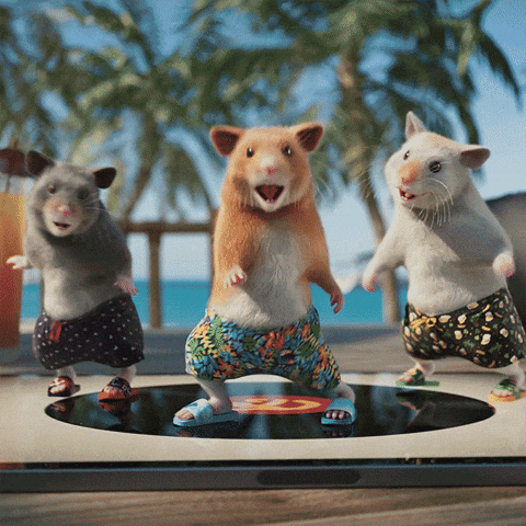 Hamster Dance Top Of Vinyl Record Player Beach GIF