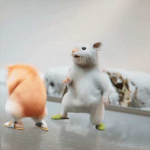 Hamster Dance Twist Jump GIF