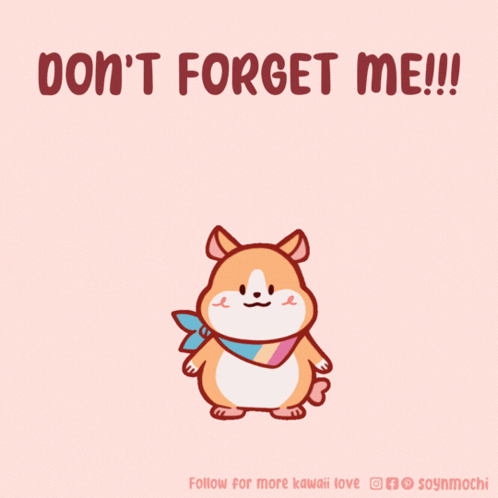 Hamster Don't Forget Me GIF