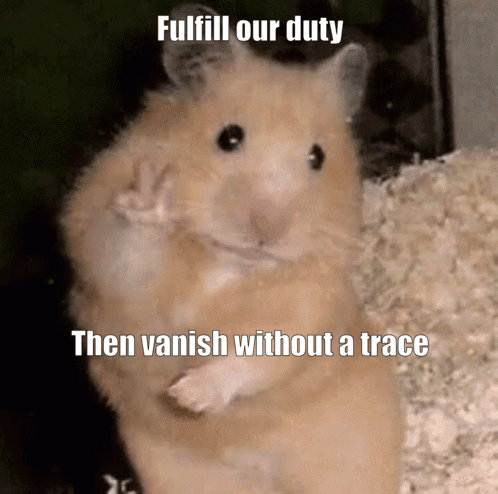 Hamster Giving Peace Sign Fulfill Our Duty Then Vanish Without A Trace
