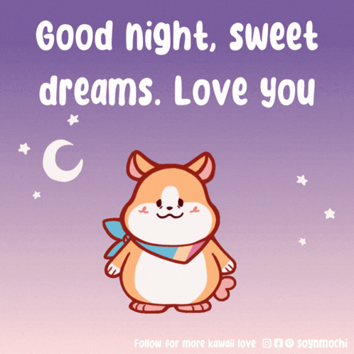 Hamster Good Night Sweet Dreams Love You GIF