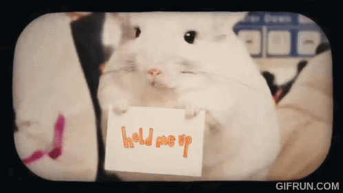 Hamster Holding Hold Me Up Paper