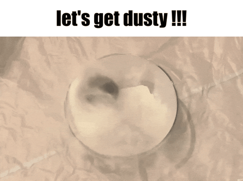 Hamster in Bowl Let Get Dusty