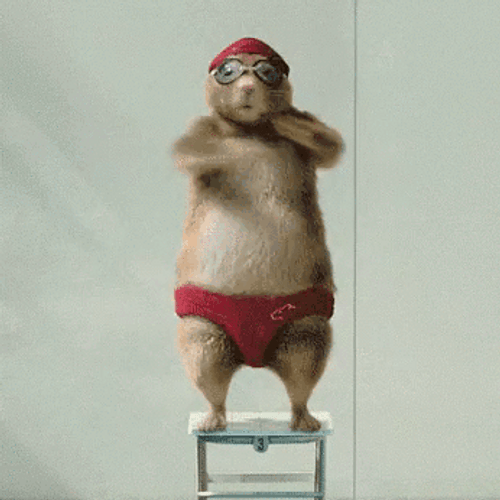 Hamster In Diving Gear Animation Meme GIF