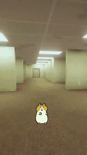 Hamster in Hallway with Door
