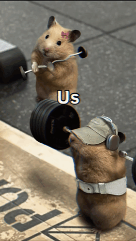 Hamster Lifting Barbell With Listening Hamster