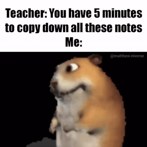 Hamster Meme Cheating In Exam Animation GIF
