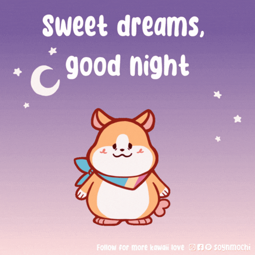 Hamster Saying Sweet Dreams Good Night