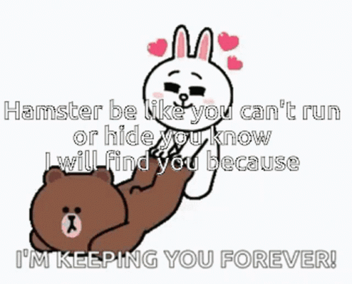 Hamster Saying You Can't Run or Hide