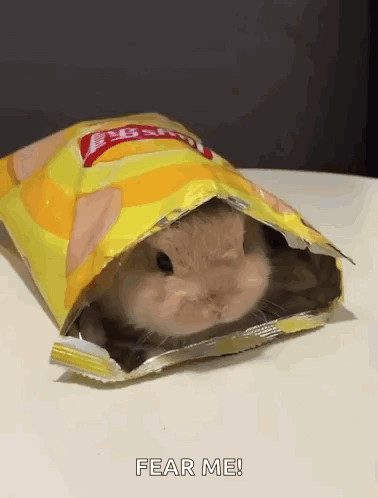 Hamster Sitting Inside Potato Chips Bag