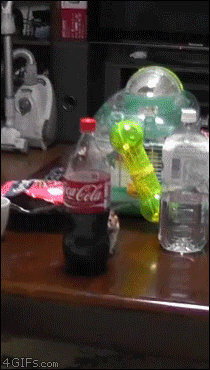 Hamster Stop Dance Hides Behind Bottle GIF