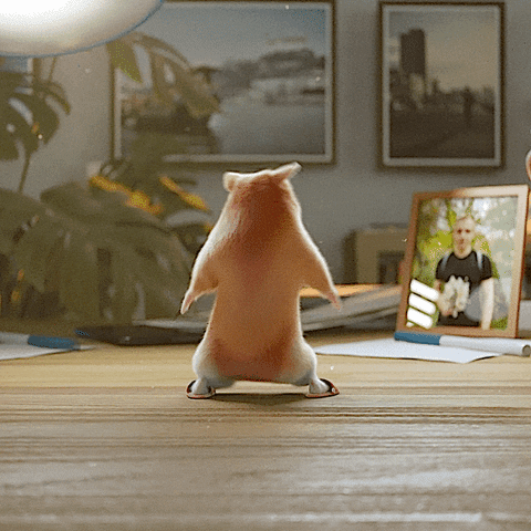Hamster Study Table Shows Dance Moves Jumps Front GIF