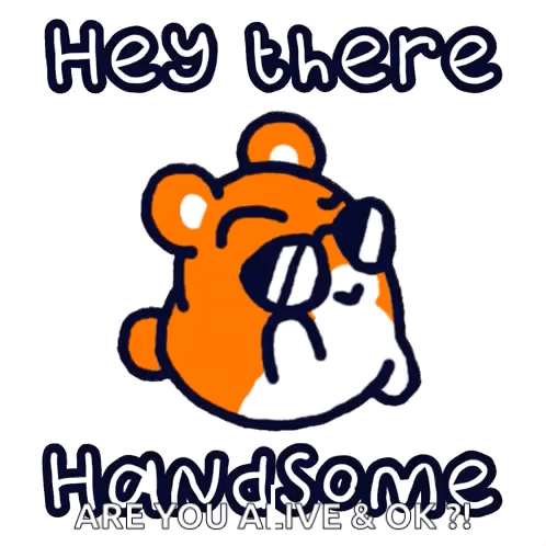 Hamster Sunglasses Hey There Handsome Are You Alive OK
