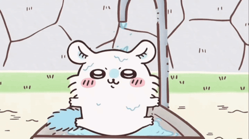 Hamster Taking Bath In Bucket GIF