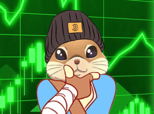 Hamster Wearing Beanie with Bitcoin Sticker