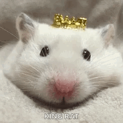 Hamster Wearing Crown