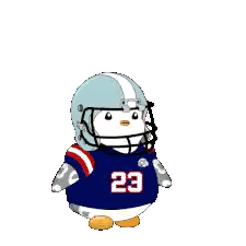 Hamster Wearing Number 23 Jersey