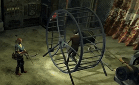 Hamster Wheel Cardio How To Survive GIF
