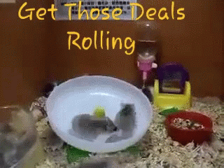 Hamster Wheel Get Those Deals GIF