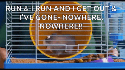 Hamster Wheel Run Secret Life GIF