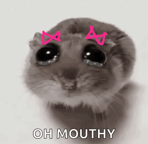 Hamster With Pink Bows Saying Oh Mouthy