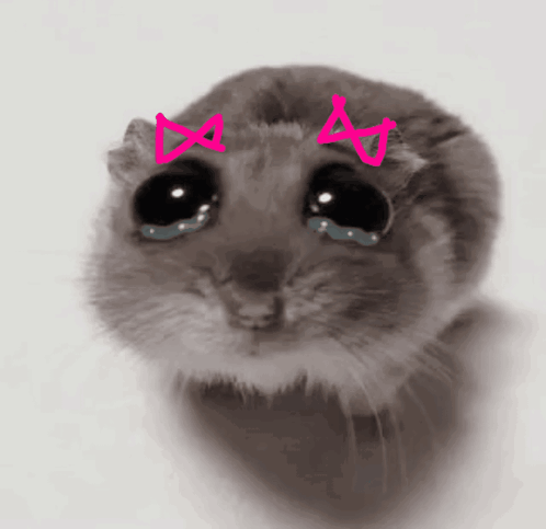 Hamster With Pink X On Head GIF