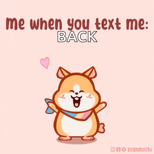 Hamster With Scarf Says Me When You Text Me Back
