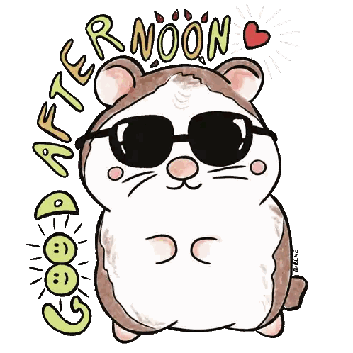 Hamster with Sunglasses Saying After Noon Good