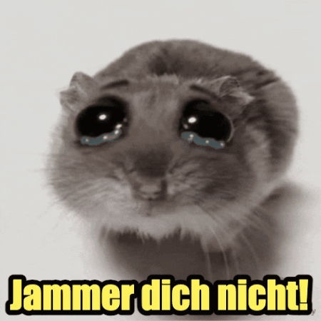 Hamster With Tears Jammer Dich Nicht GIF