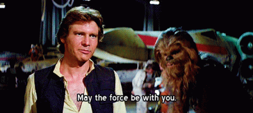 Han Solo and Chewbacca May the Force Be With You
