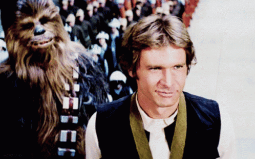 Han Solo and Chewbacca Standing