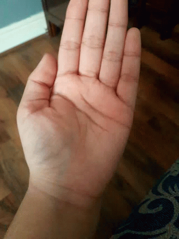 Close Up Palm Shot Open Hand GIF