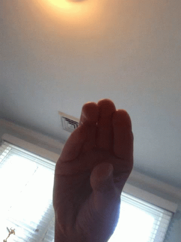 Talking Hand Funny Form GIF
