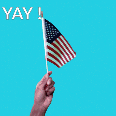 Hand Holding American Flag Saying Yay GIF
