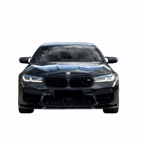 Hand Holding Cat in Front of BMW
