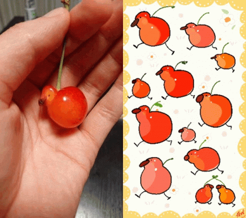 Hand Holding Cherry Beside Cherry Birds Drawing