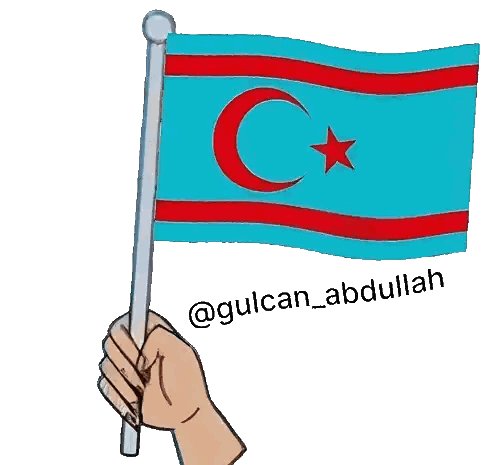 Hand Holding Flag with Gulcan Abdullah