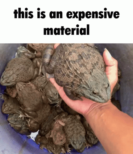 Hand Holding Frog Over Bucket Saying This Is an Expensive Material