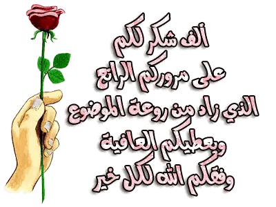 Hand Holding Red Rose with Arabic Writing