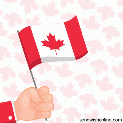 Hand Holding Small Canadian Flag GIF