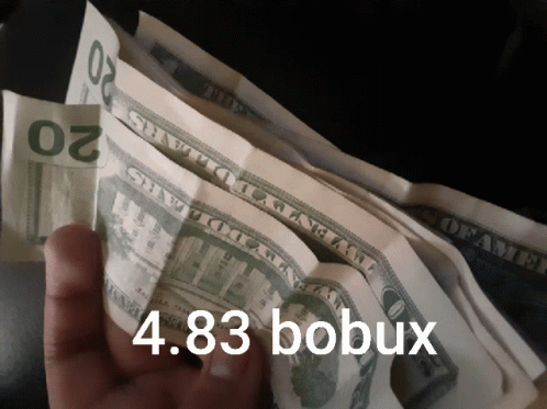 Hand Holding Stack Of 20 Dollar Bills With 4.84 Bobux GIF