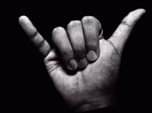 Hand Making Hang Loose Sign