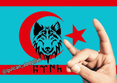 Hand Making Peace Sign in Front of Flag