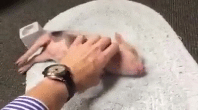 Hand Massage And Squeal Like A Pig GIF