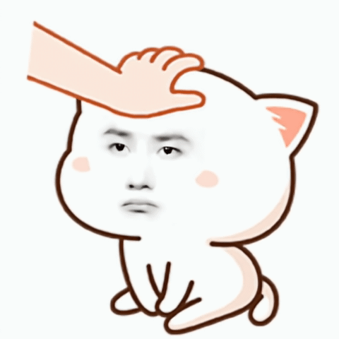 Hand Petting White Cat's Head