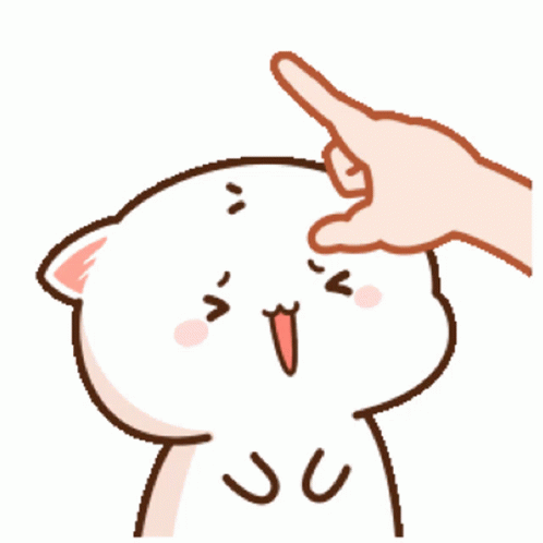 Hand Pointing At Cat's Forehead With Dumb Dumb GIF
