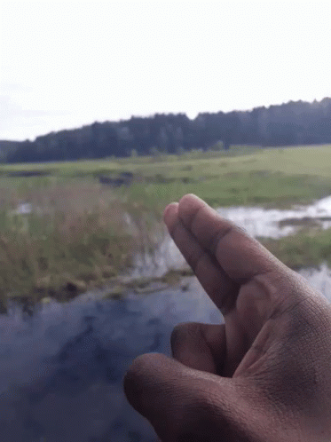 Hand Pointing at Water With Forest Background