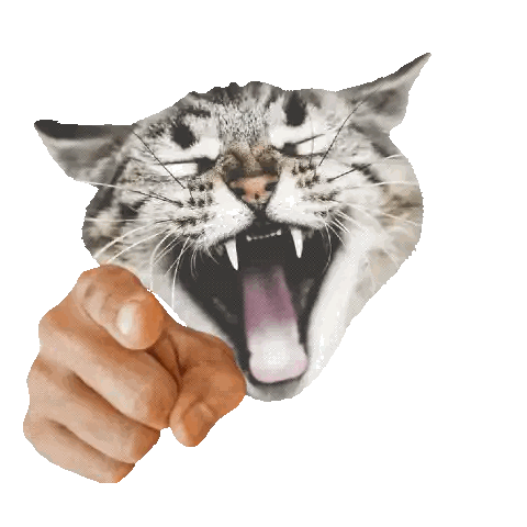 Hand Pointing at Wide-Mouthed Cat