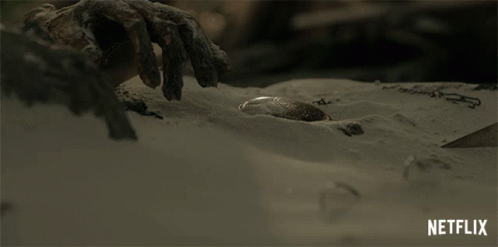 Hand Reaching Into Sand